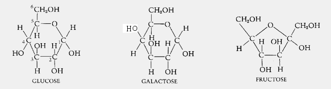 basic carbohydrate chemical structure